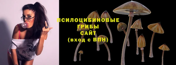 наркотики Дегтярск
