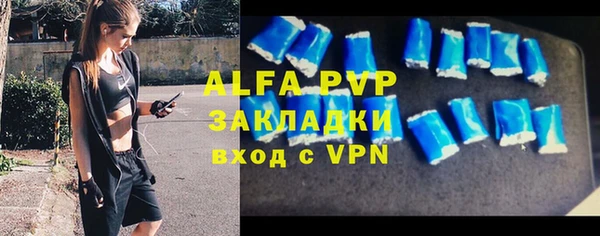 тгк Дедовск