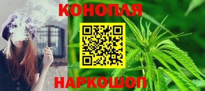 прущие грибы Краснодар