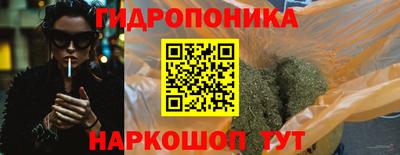 прущие грибы Краснодар