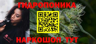 прущие грибы Краснодар