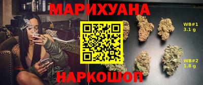 прущие грибы Краснодар