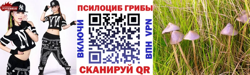 Галлюциногенные грибы Psilocybine cubensis  OMG зеркало  Касимов 